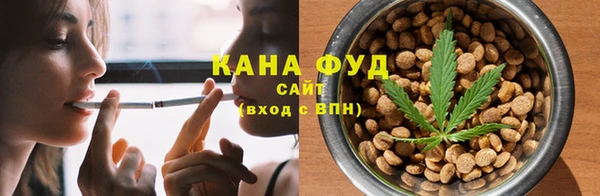 гашик Лагань
