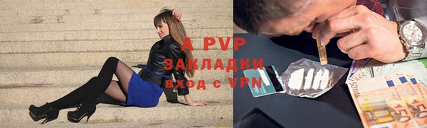 сатива Бородино