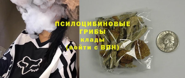 стафф Лабытнанги