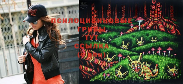 стафф Лабытнанги