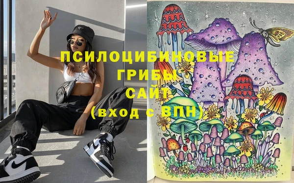 бошки Магас
