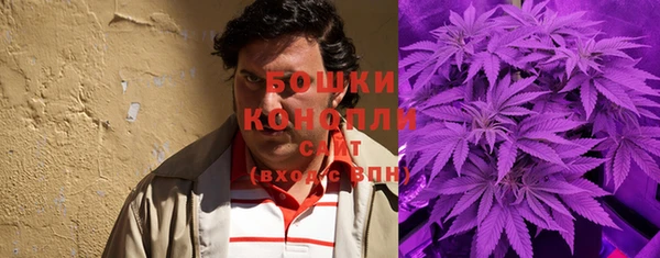 крисы Ладушкин