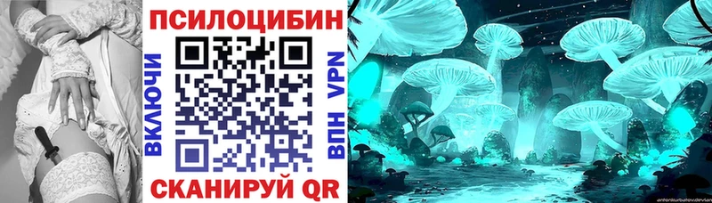 Псилоцибиновые грибы Magic Shrooms  как найти наркотики  Дыгулыбгей 