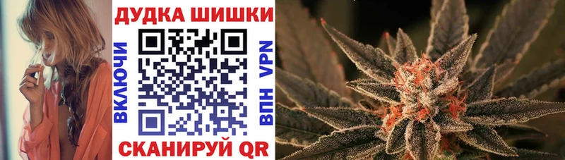 Конопля SATIVA & INDICA  Дыгулыбгей 